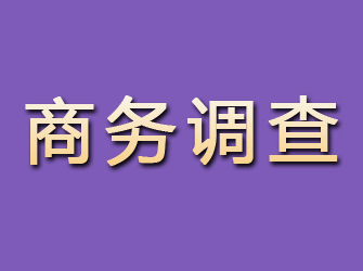鄂尔多斯找私家侦探调查行踪要多少钱？全面了解费用结构与影响因素